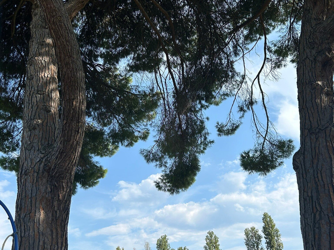 Isola Polvese-Castiglione del Lago必去景点