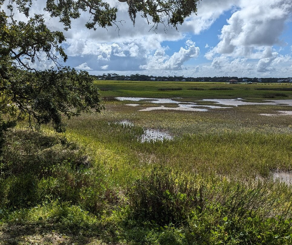 Bloody Marsh-圣西蒙斯岛必去景点