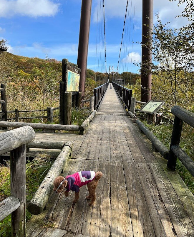 Tsutsuji Suspension Bridge-那须郡必去景点