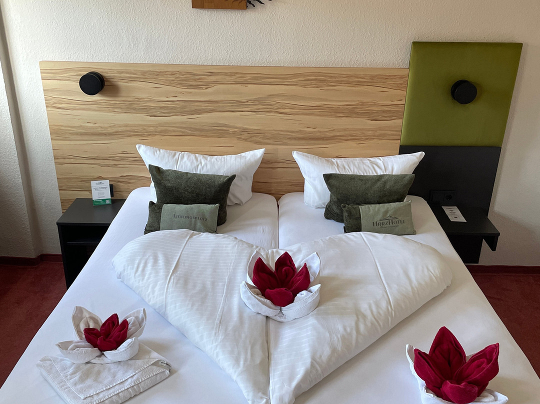 Harzhotel Guentersberge主图
