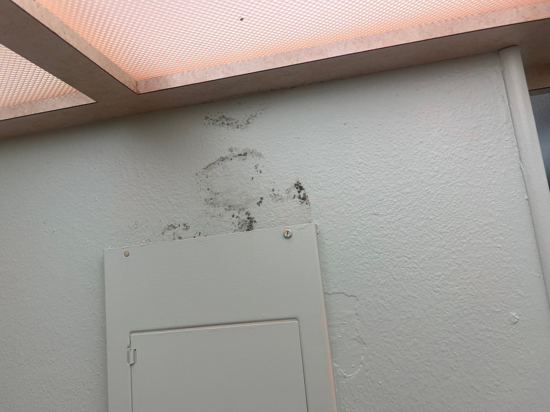 Sea Oats Beach Club主图