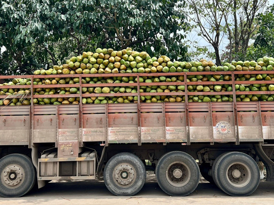 Hidden Gems Tours-班加罗尔必去景点
