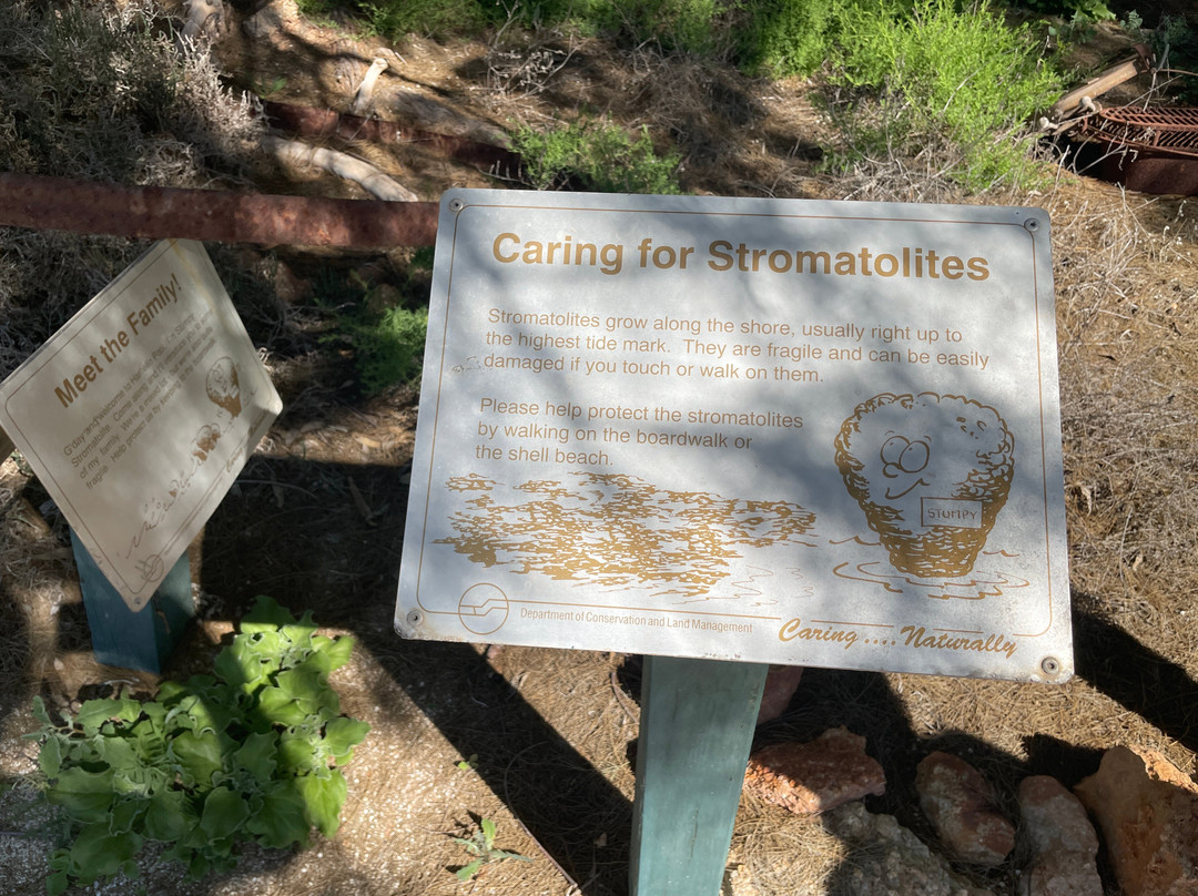 Hamelin Pool Telegraph Station-Hamelin Pool必去景点