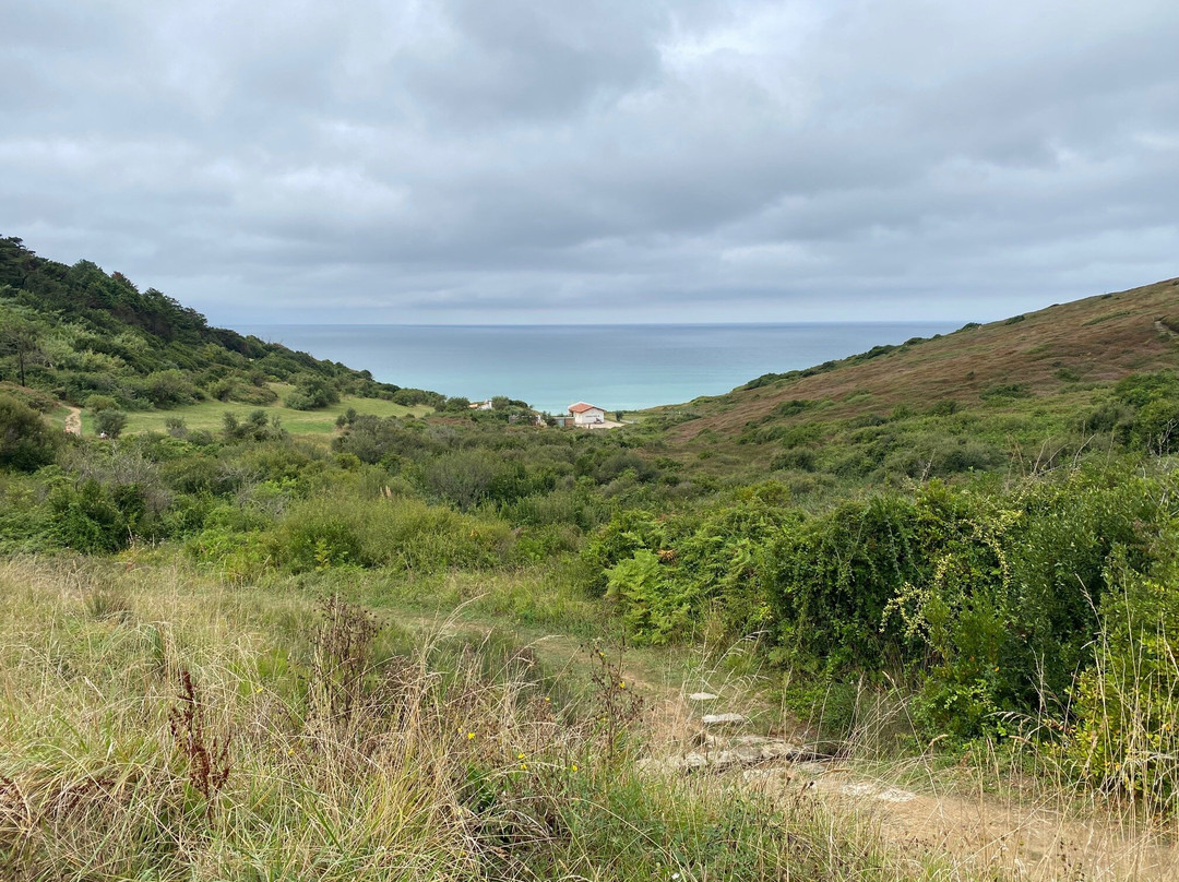 Plage d'Erretegia景点图片