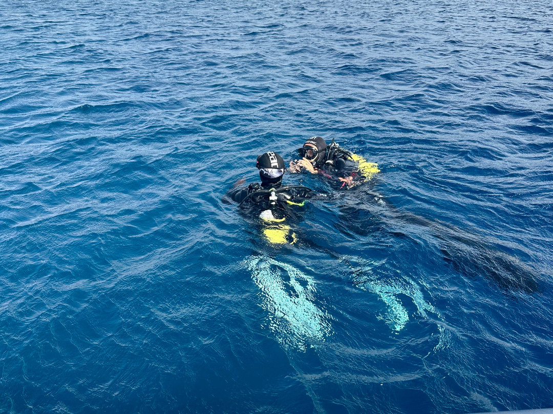 Bluassoluto diving-Trinita d'Agultu e Vignola必去景点