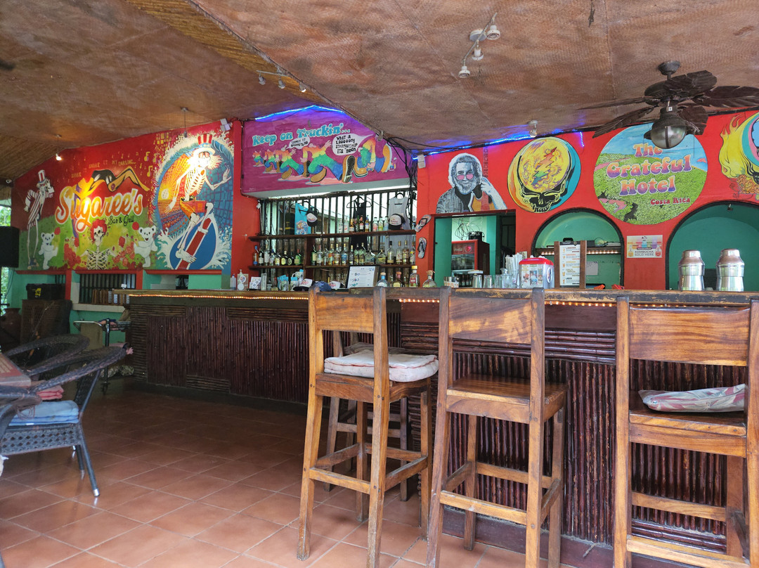 The Grateful Hotel主图