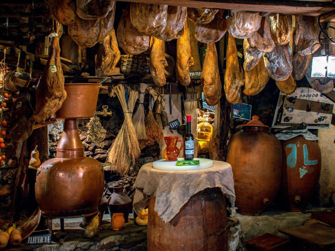 Oleosetin Tienda - Museo景点图片