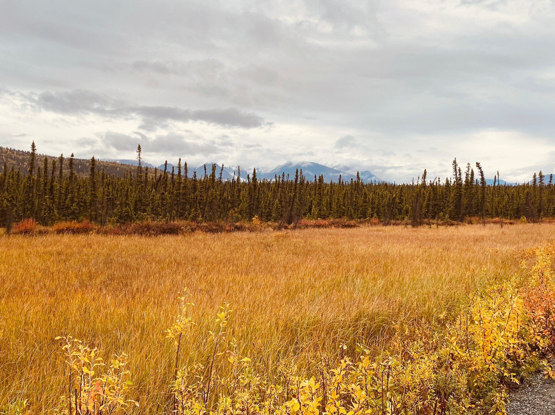 Wrangell-St Elias National Park-McCarthy必去景点