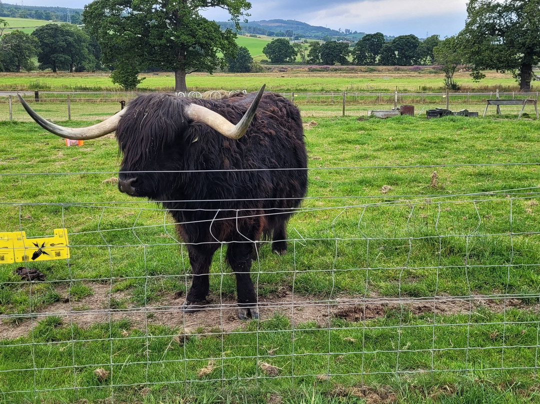 Highland Tours Inverness-因弗内斯必去景点