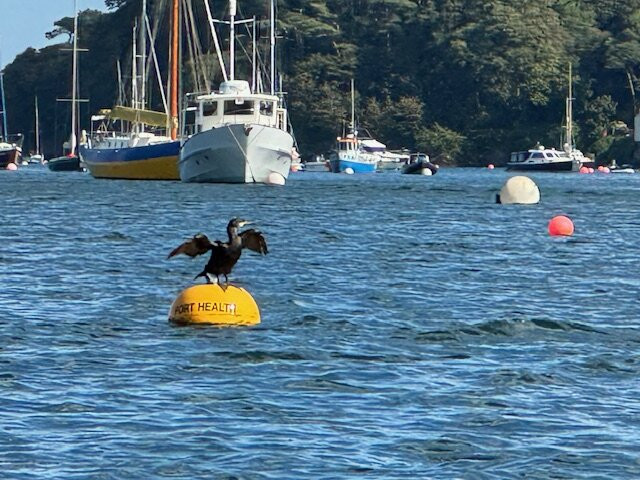 Helford River Cruises景点图片