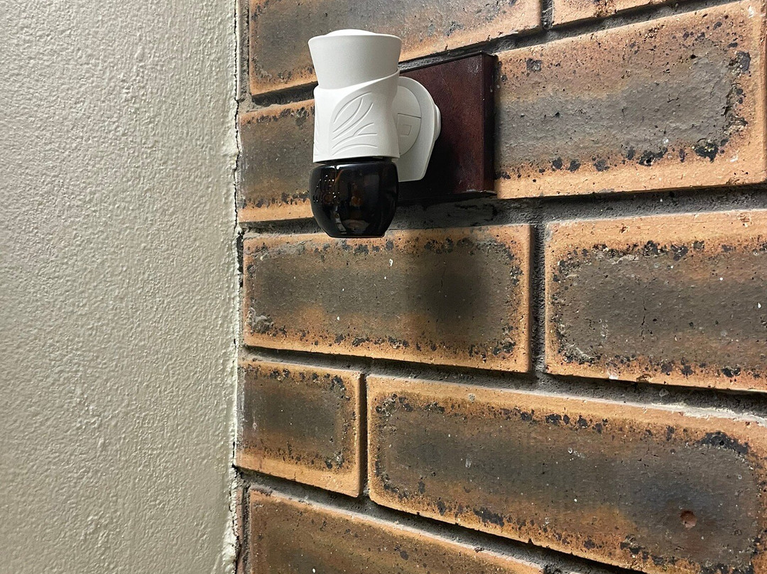 Overlander Motor Lodge主图