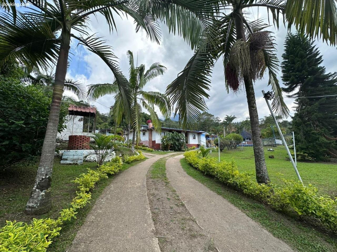 Sary House by Anne Spa