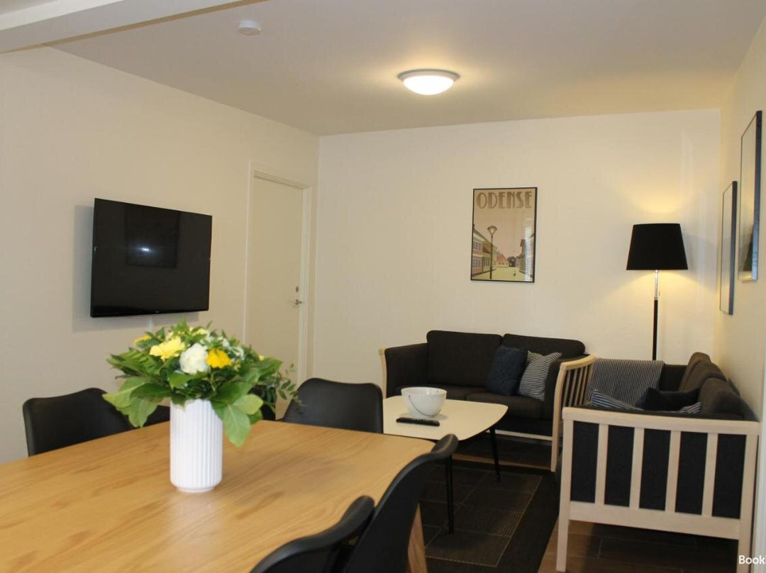 Odense Apartments主图