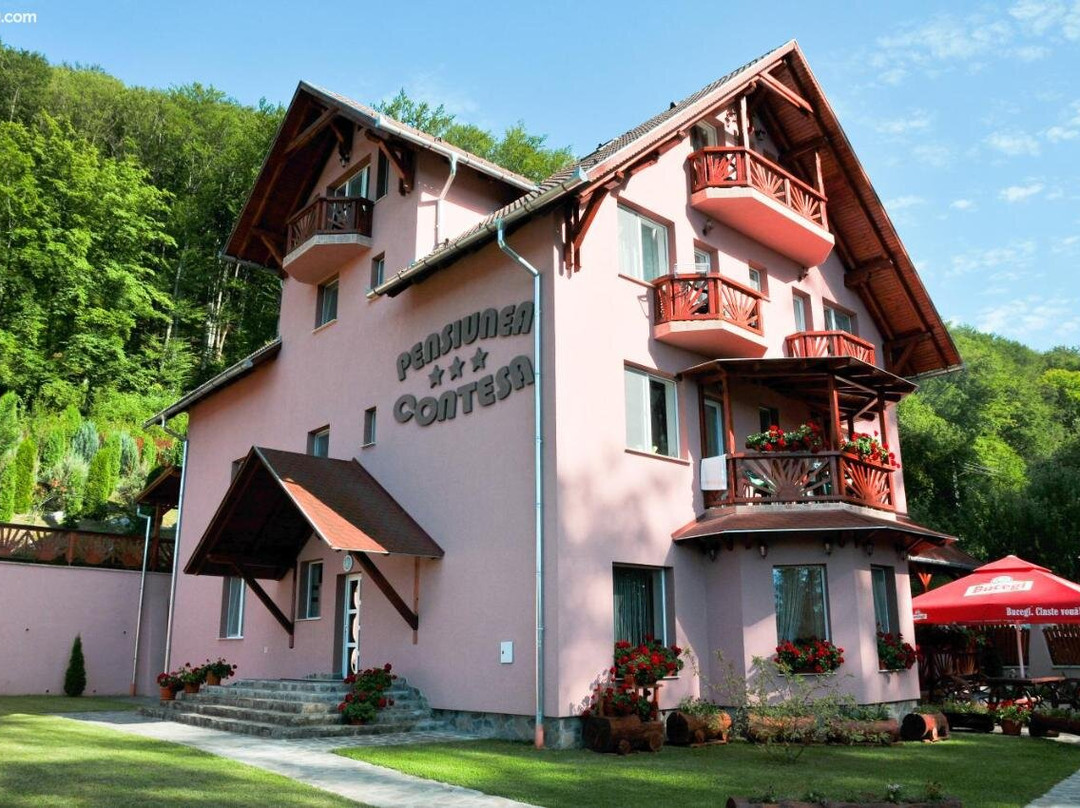 Pensiunea Contesa主图