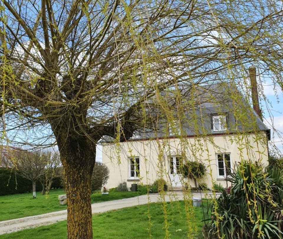 Au Petit Paradis主图