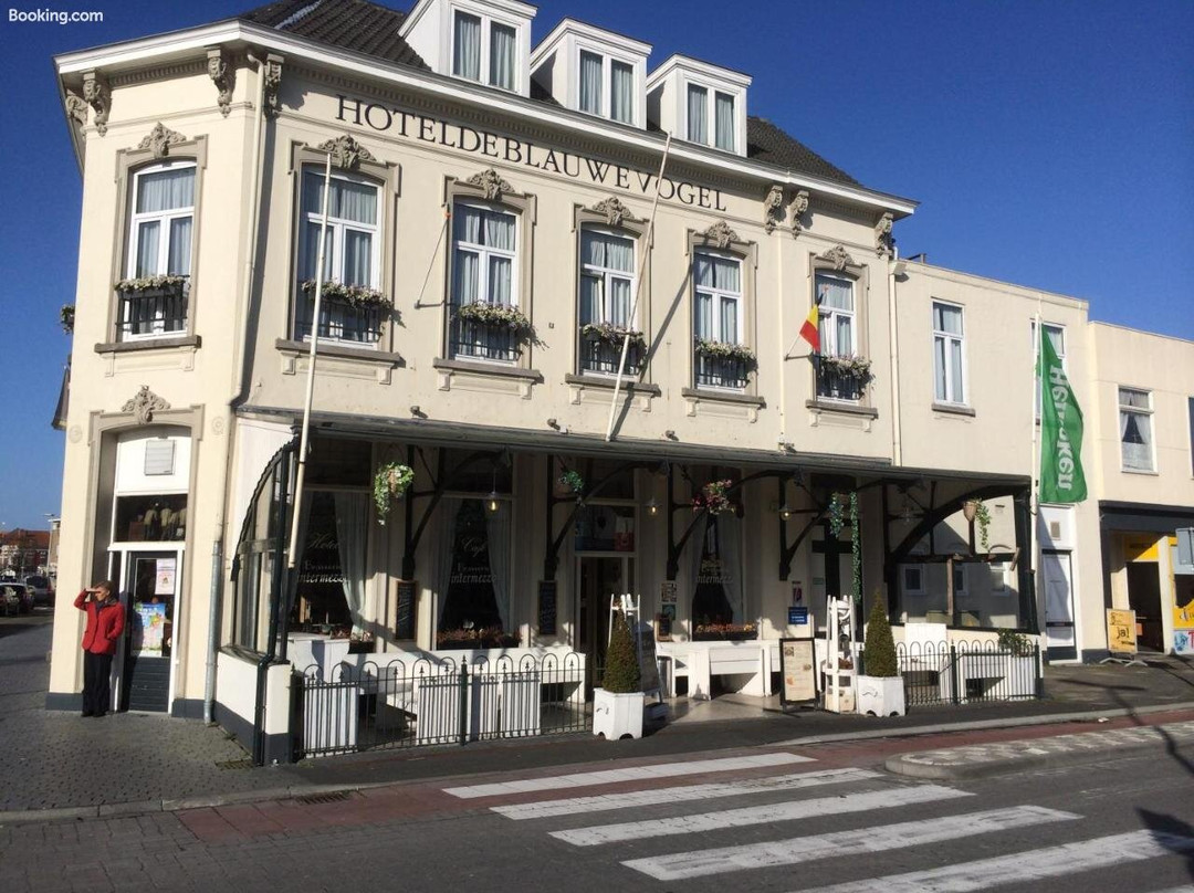Hotel de Blauwe Vogel主图