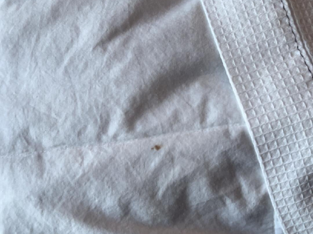 Hyatt Place Toronto / Brampton主图