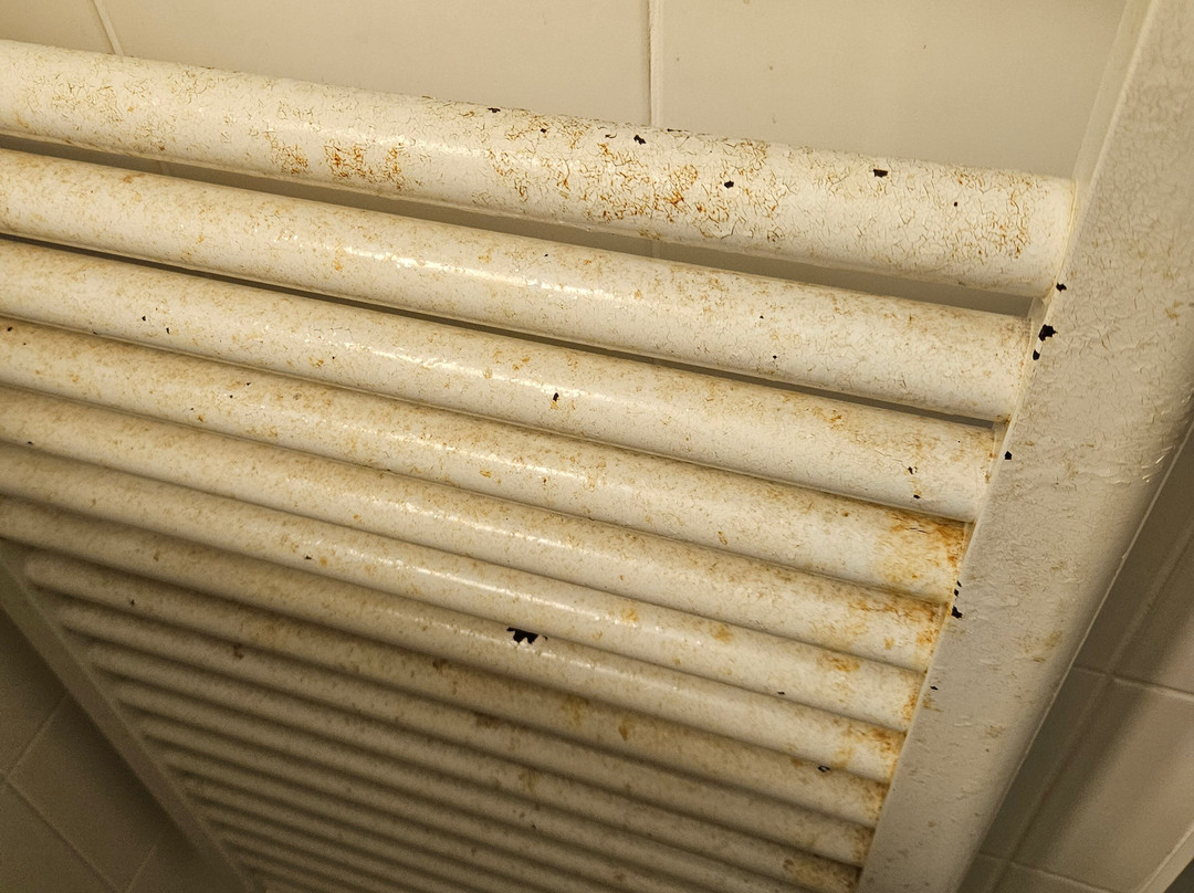 Hotel am Schloss主图