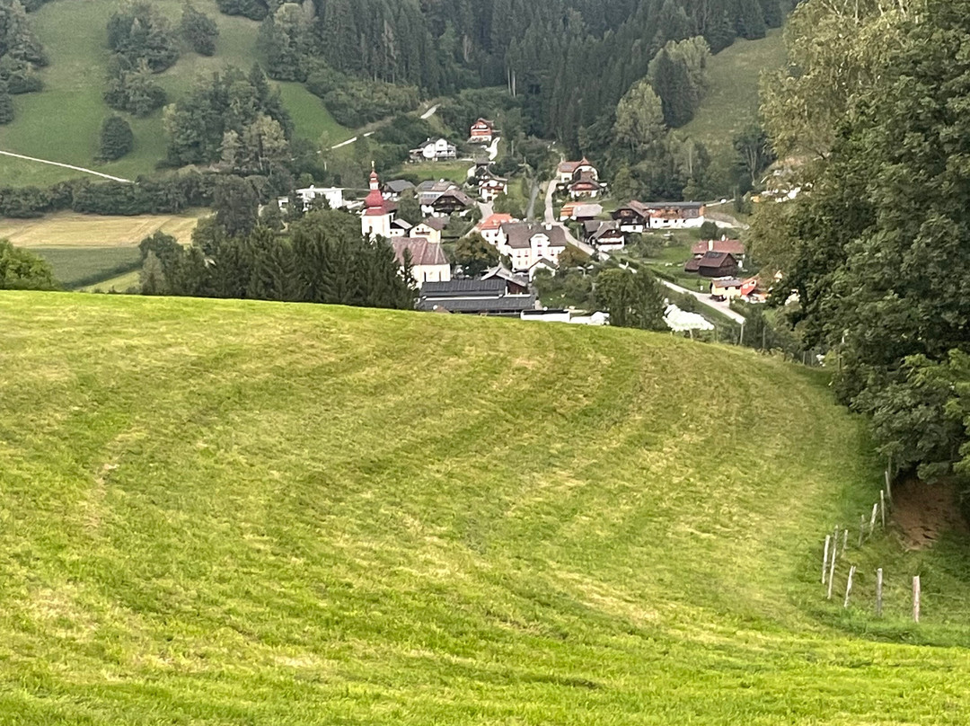 Pension Almhof主图