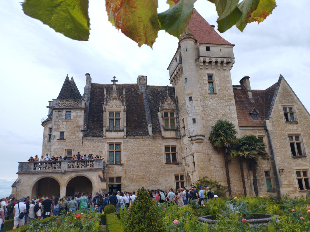 Château des Milandes景点图片