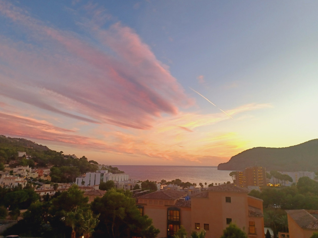 Zafiro Palace Andratx主图