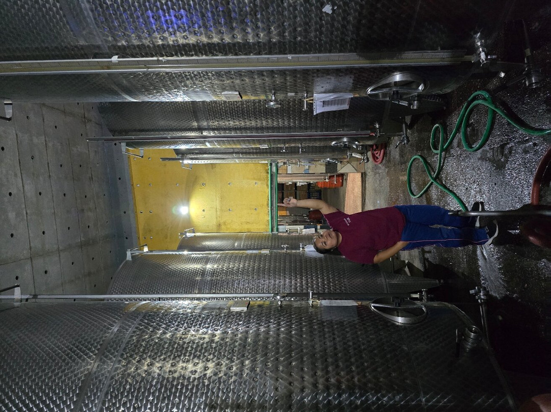 Kantina E Veres Isak-沙兰德必去景点