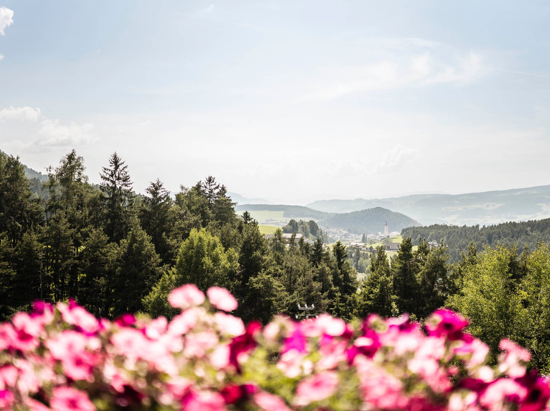 蒂内斯阿尔卑斯休闲木屋主图