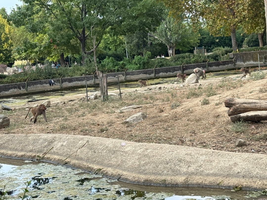 Bursa Zoo-布尔萨必去景点