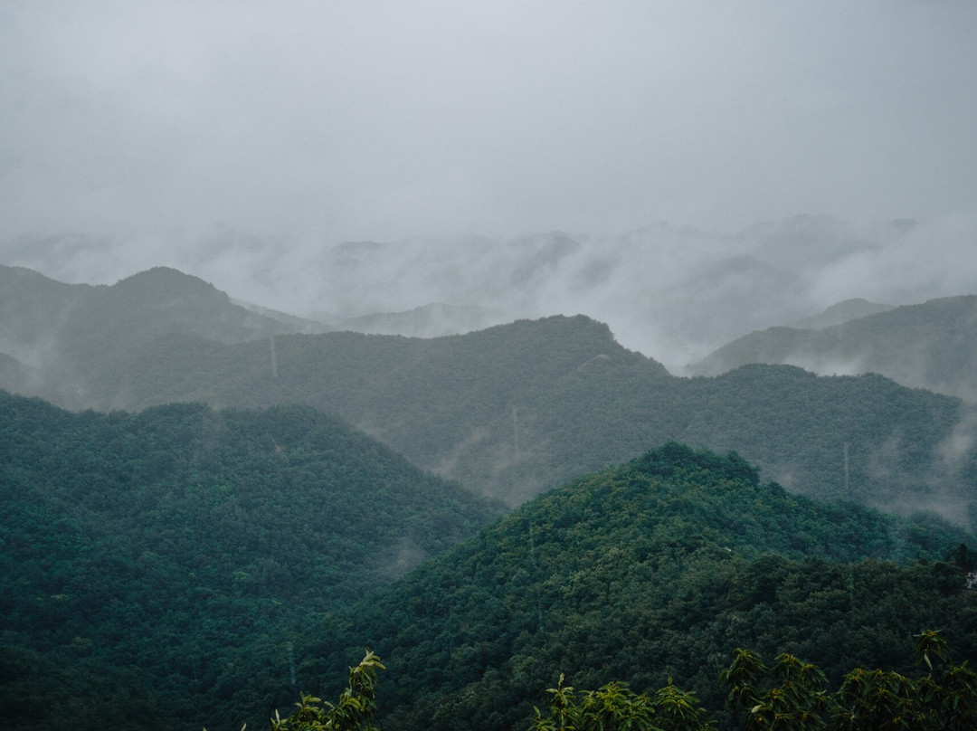 Maisan Mountain-镇安郡必去景点