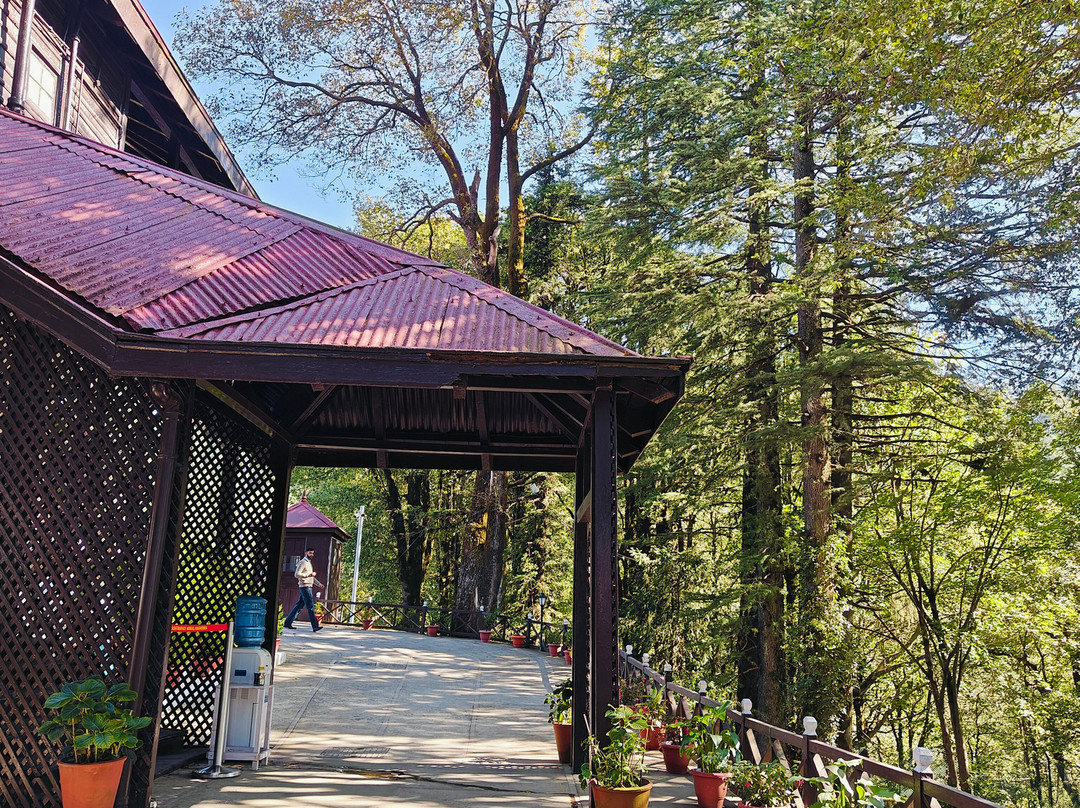 Rashtrapati Niwas, Mashobra, Shimla景点图片