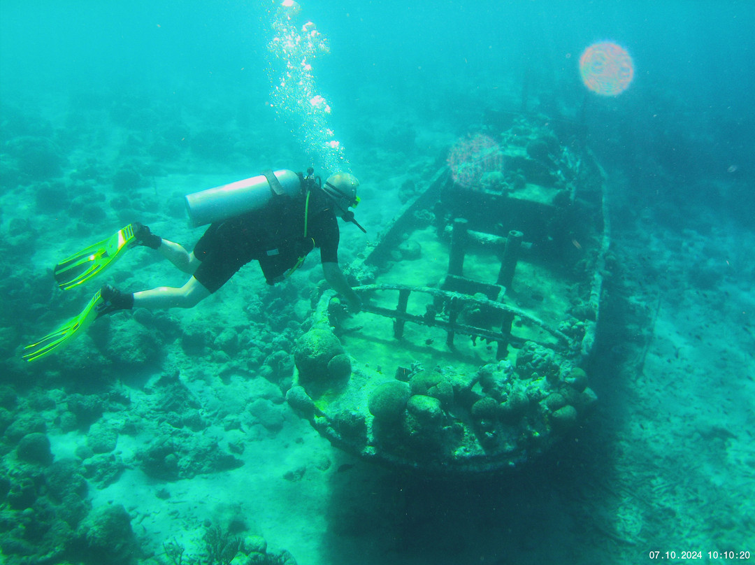 Duik op Curacao-威廉斯塔德必去景点