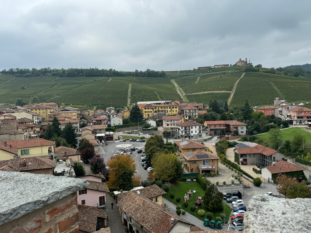 WiMu - Museo del Vino a Barolo-巴罗洛必去景点