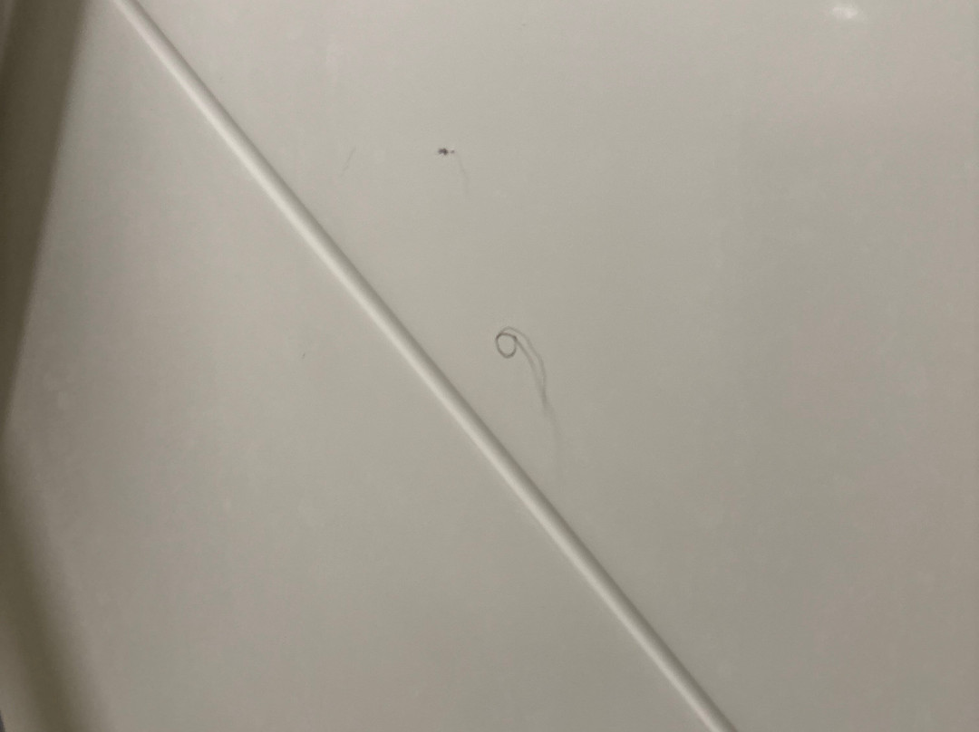 Best Western Plus Chandler Hotel & Suites主图