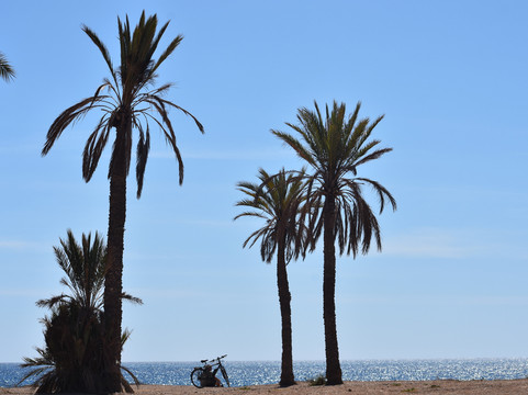 Playa Negra-穆尔西亚马萨龙港必去景点