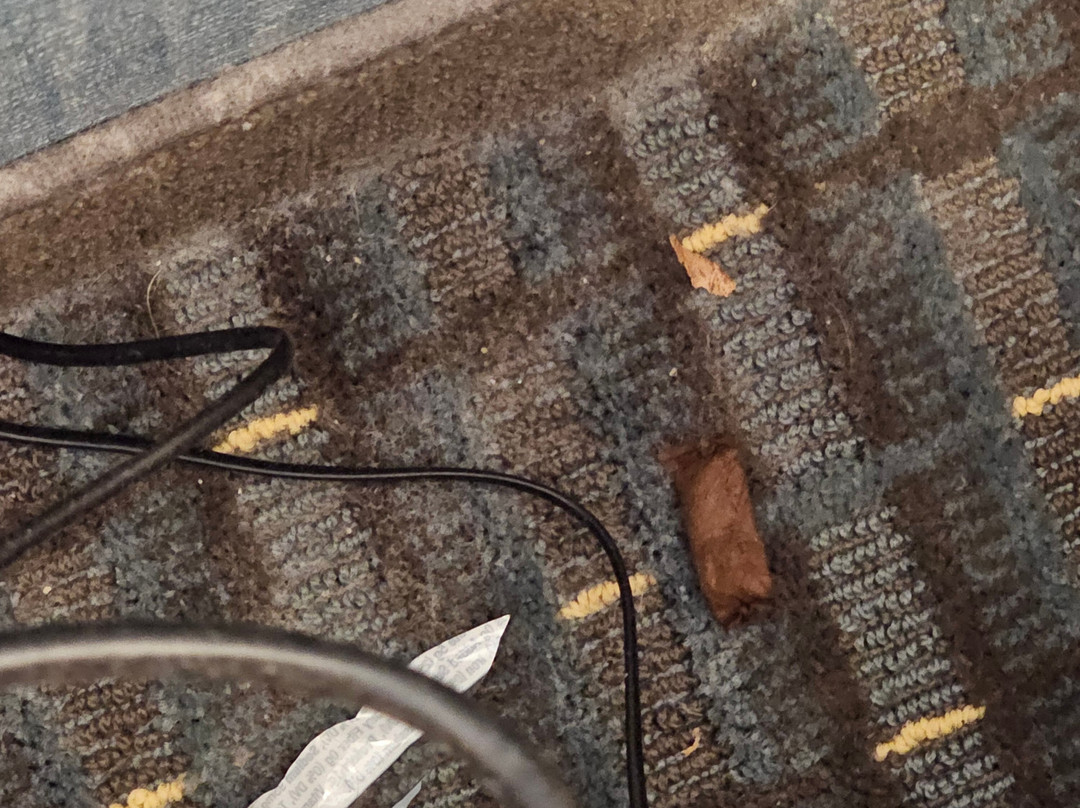 Drury Inn & Suites St. Louis Brentwood主图