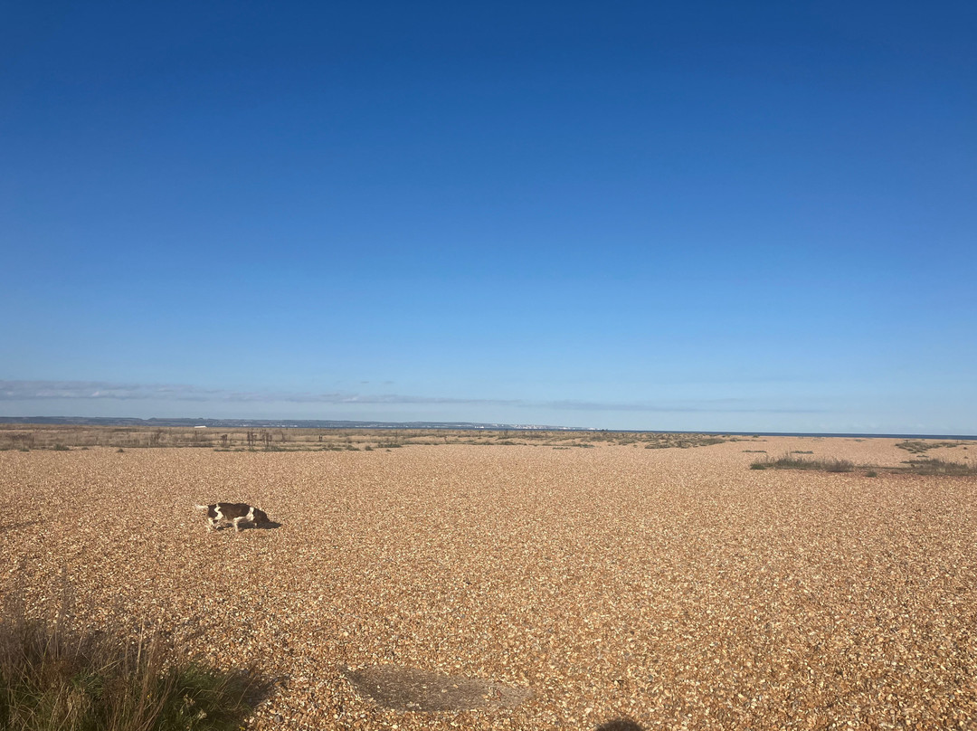 Dungeness Beach-Dungeness必去景点