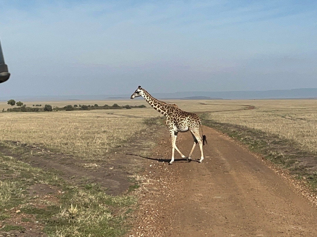 Devine Adventures-内罗毕必去景点