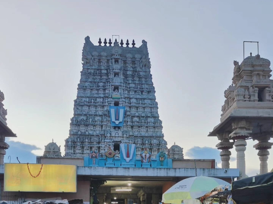 Ulagalantha Perumal Temple景点图片