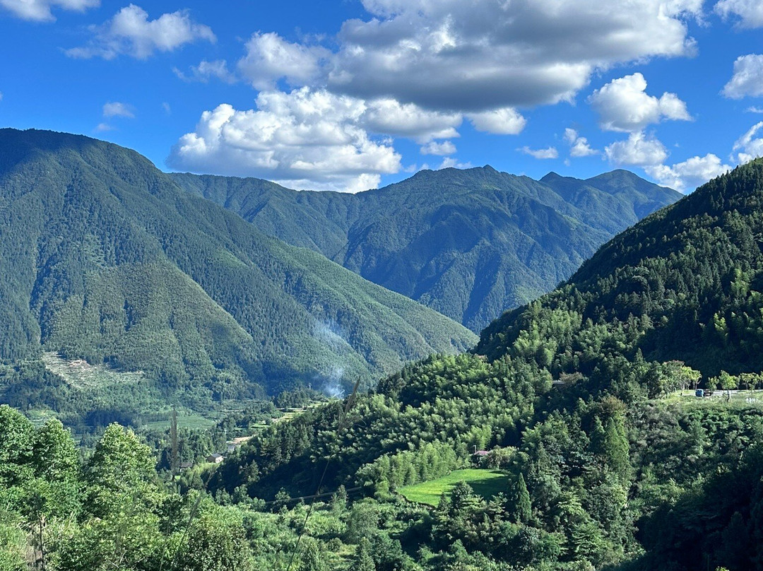 云和梯田-云和县必去景点