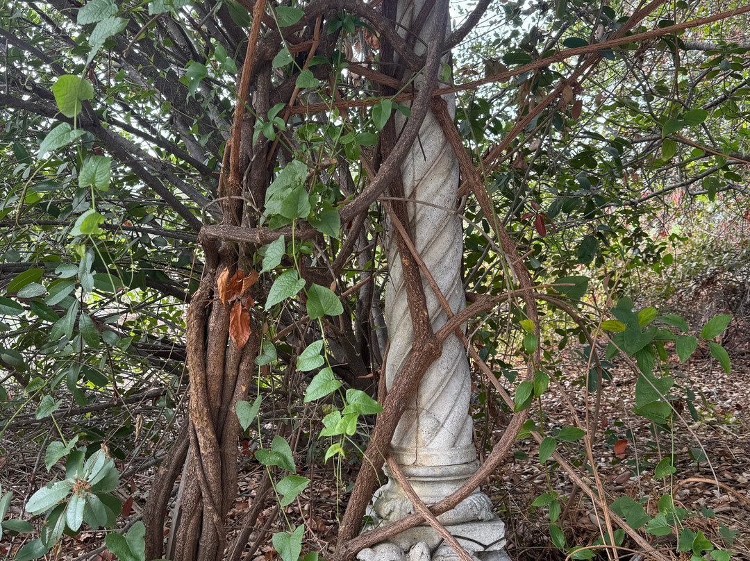Arlington Garden in Pasadena景点图片