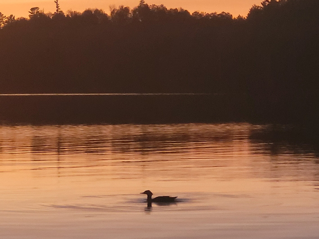 Somerset Lakeside Resort主图