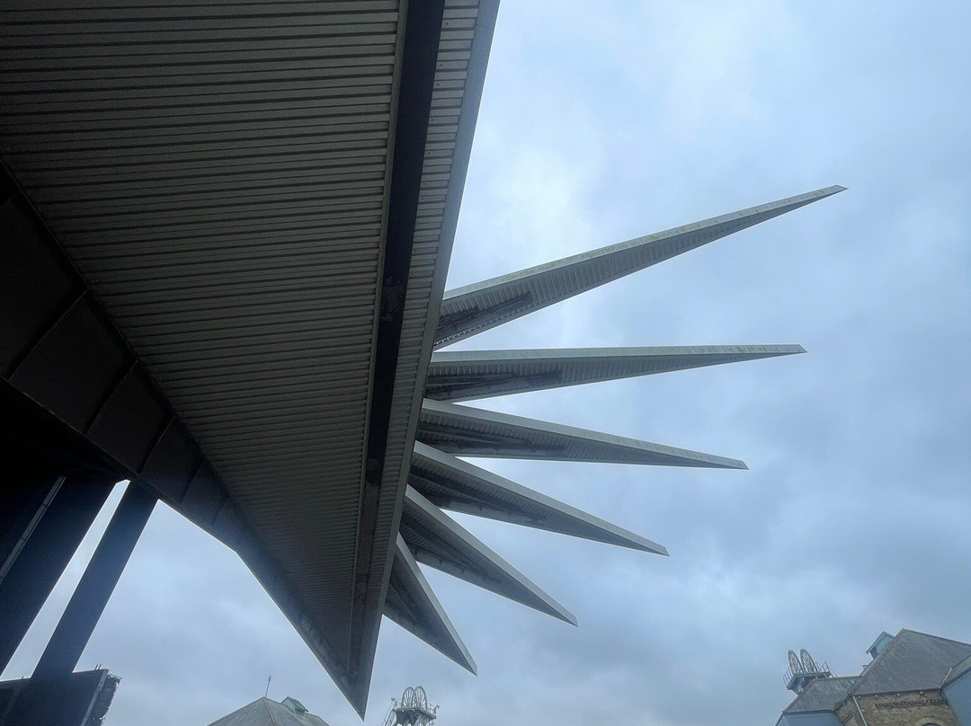 Woodhorn Museum景点图片