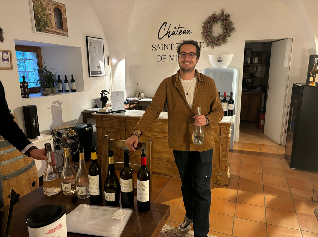 Chateau Saint-Pierre De Mejans景点图片