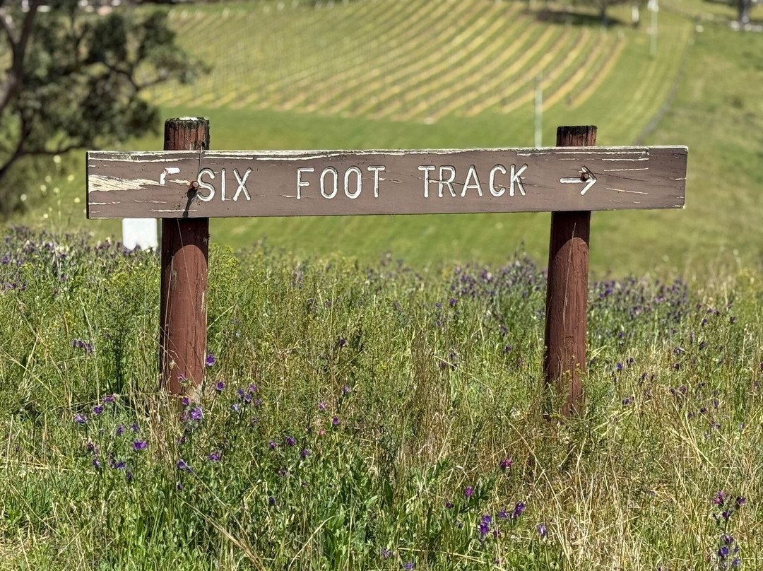 Emu Trekkers-悉尼必去景点