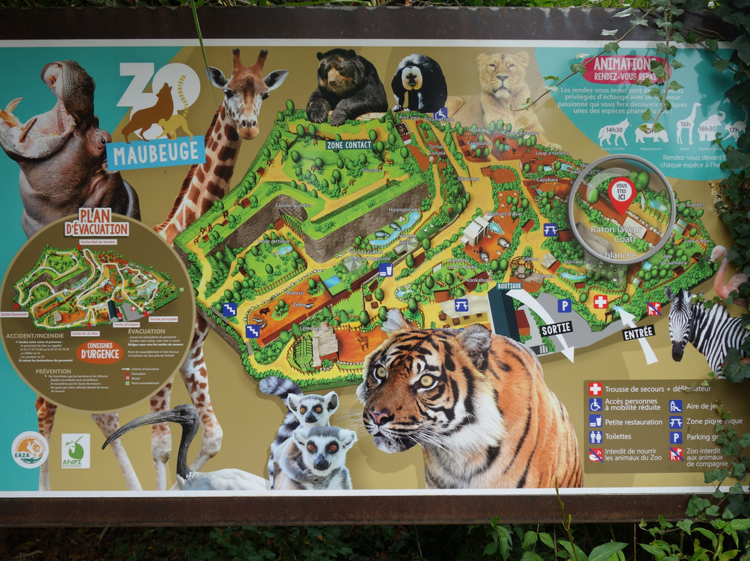 Zoo de Maubeuge景点图片