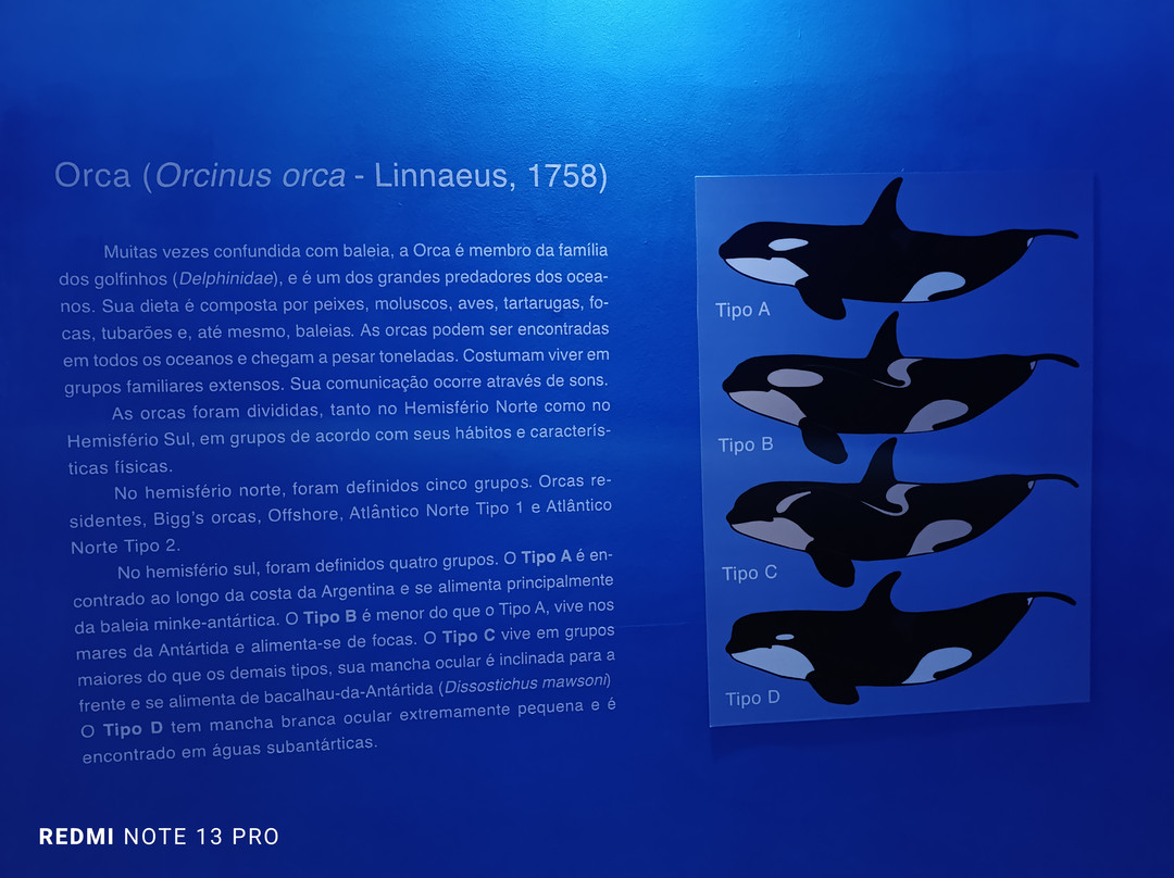 Almirante Paulo Moreira Oceanographic Museum景点图片