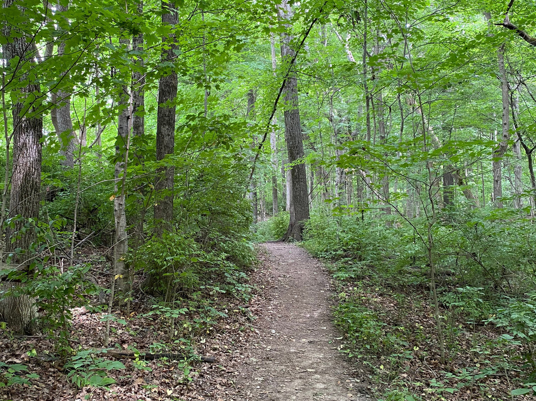 George Rogers Clark Park-斯普林菲尔德必去景点