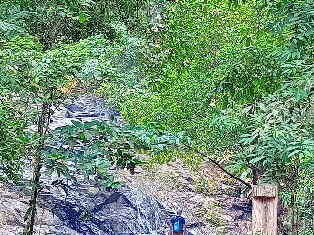 Ton Chong Fa Waterfall景点图片