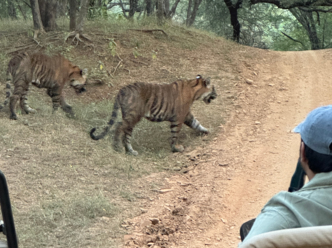 Rifa Tours India - Private Day Tour景点图片