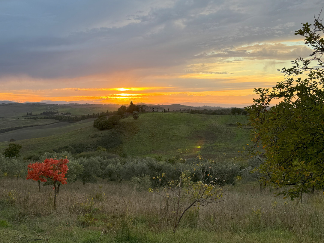 Agriturismo Sole主图